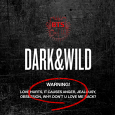 BTS (防弹少年团) - 正规1辑 [DARK&WILD]